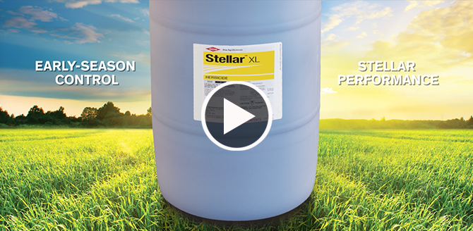 Stellar XL Video