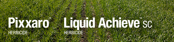 Pixxaro and Liquid Achieve
