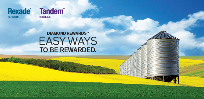 Easy ways to be rewarded