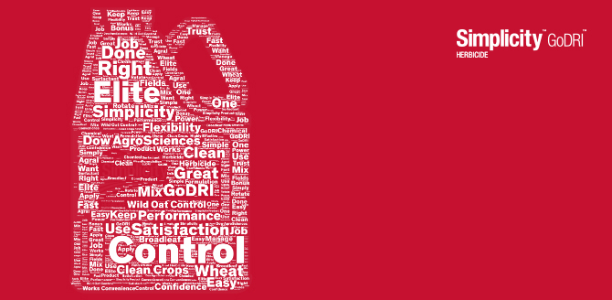 Word Cloud