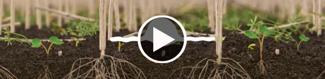 SoilActive Technology