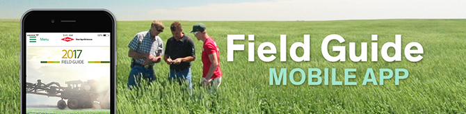 Field Guide