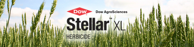Stellar XL