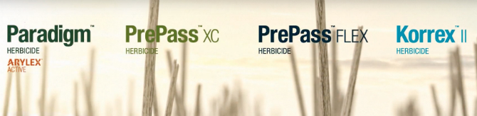 Pre-Seed Products