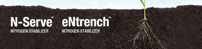 Nitrogen Stabilizers