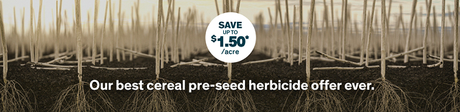 Pre-seed Fall Offer