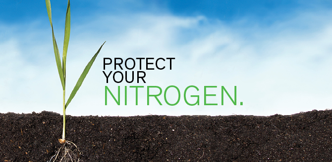 Protect Your Nitrogen