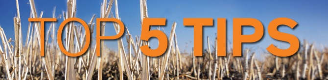 Top 5 Tips