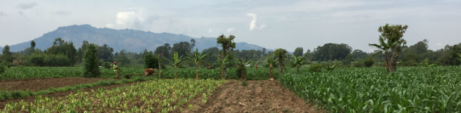 Ethiopia
