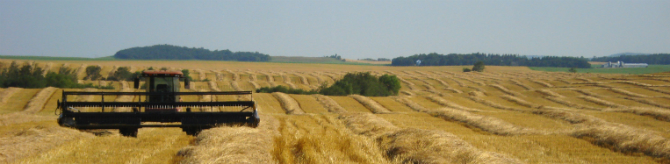 Swathed Field