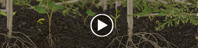 SoilActive Technology