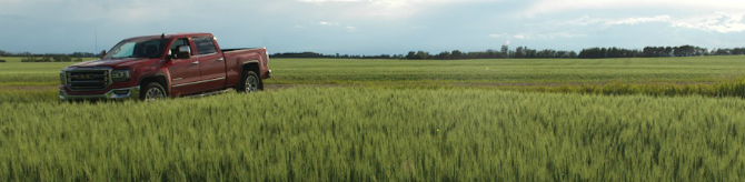 Truck in Field