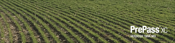 PrePass XC Field