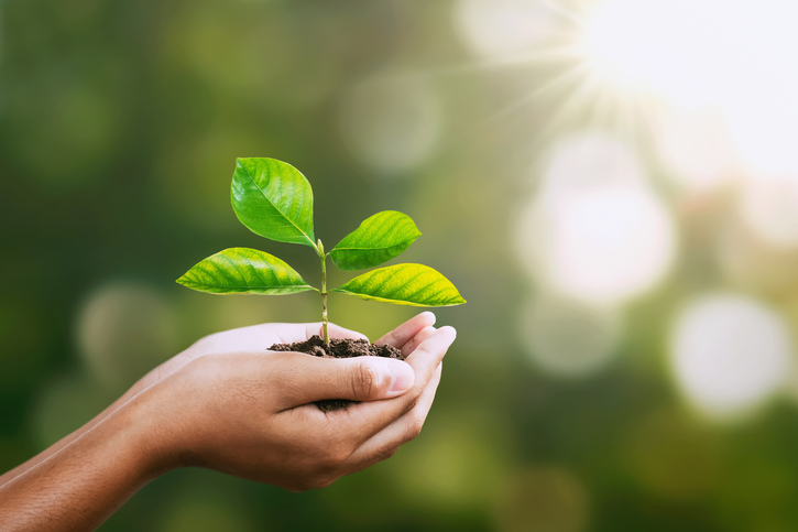 Dow joins CELAB in promoting a circular economy for self-adhesive label materials
