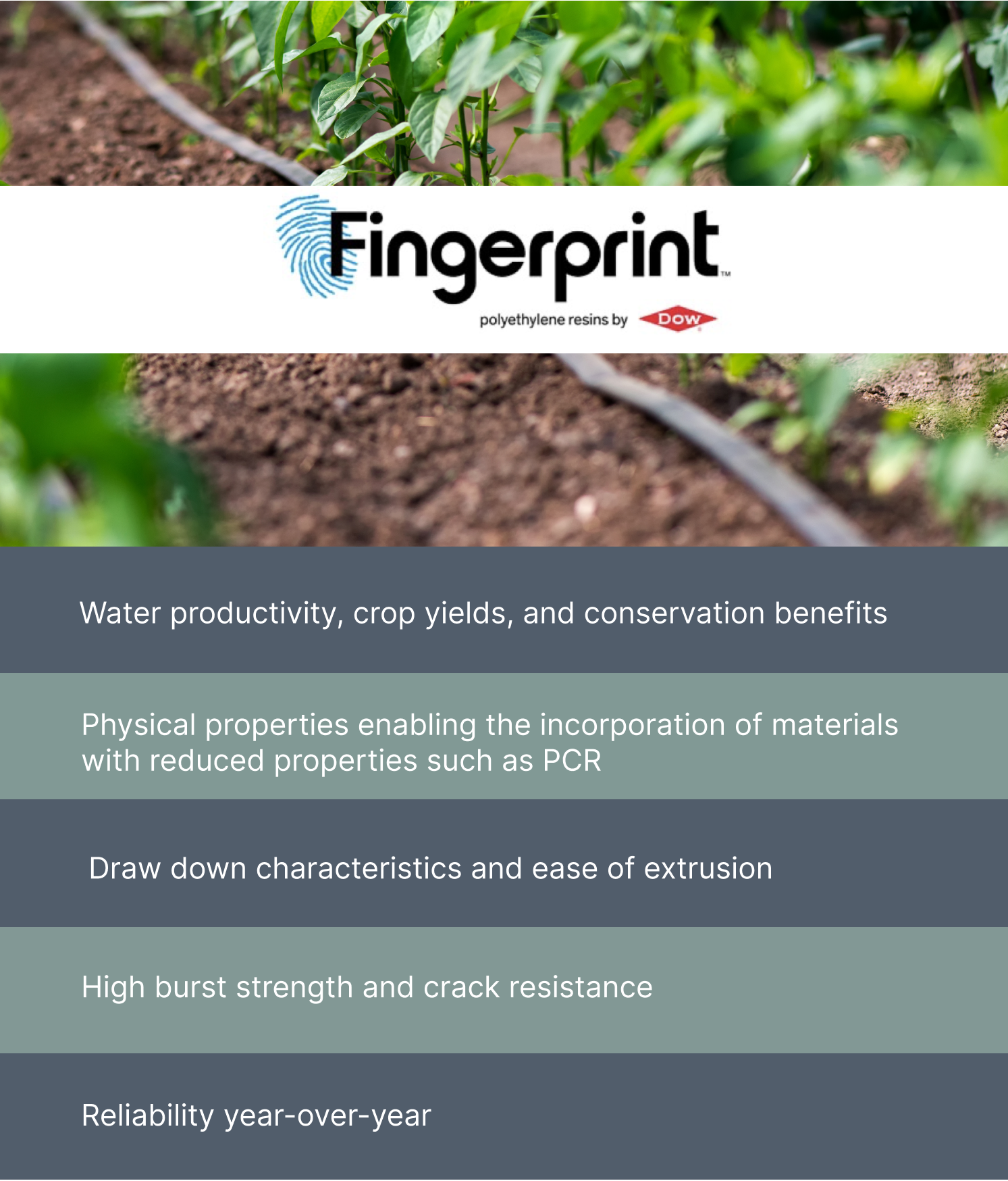 Fingerprint